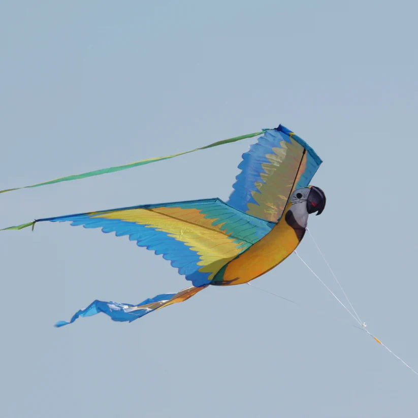 74 Inch Wingspan 3-D Nylon Blue Macaw Kite (ONLINE ORDER ONLY)