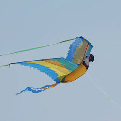 74 Inch Wingspan 3-D Nylon Blue Macaw Kite (ONLINE ORDER ONLY)