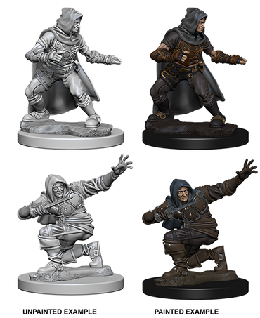 Pathfinder: Deep Cuts - Human Male Rogue (ONLINE ORDER ONLY)
