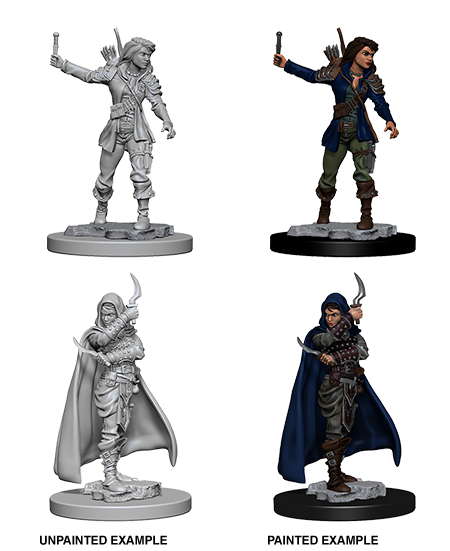Pathfinder: Deep Cuts - Human Female Rogue (ONLINE ORDER ONLY)