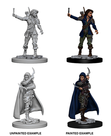 Pathfinder: Deep Cuts - Human Female Rogue (ONLINE ORDER ONLY)