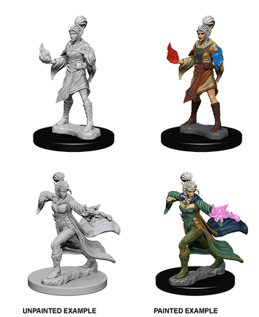 Pathfinder: Deep Cuts - Elf Female Sorcerer (ONLINE ORDER ONLY)