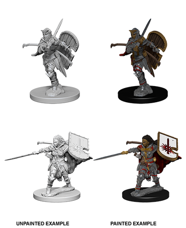 Pathfinder: Deep Cuts - Human Female Paladin (ONLINE ORDER ONLY)