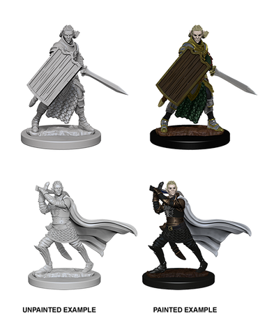 Pathfinder: Deep Cuts - Elf Male Paladin (ONLINE ORDER ONLY)