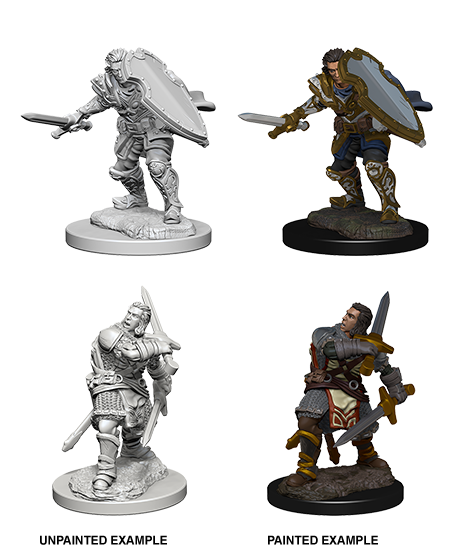 D&D: Nolzur's Marvelous Miniatures - Human Male Paladin (ONLINE ORDER ONLY)