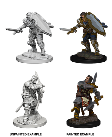 D&D: Nolzur's Marvelous Miniatures - Human Male Paladin (ONLINE ORDER ONLY)