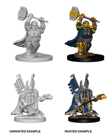 D&D: Nolzur's Marvelous Miniatures - Dwarf Male Paladin (ONLINE ORDER ONLY)