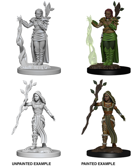 D&D: Nolzur's Marvelous Miniatures - Human Female Druid (ONLINE ORDER ONLY)