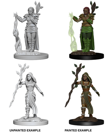 D&D: Nolzur's Marvelous Miniatures - Human Female Druid (ONLINE ORDER ONLY)