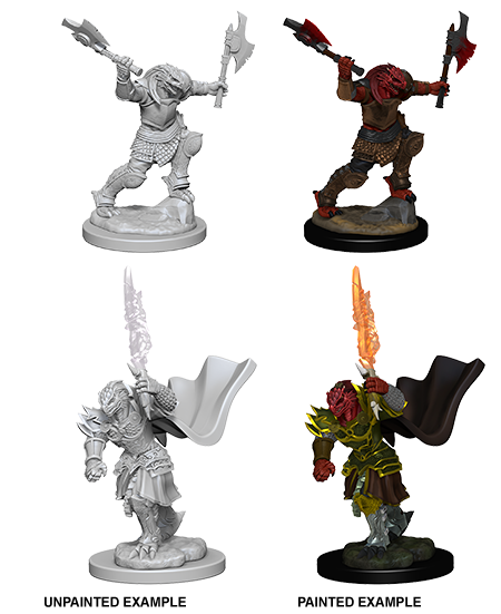 D&D: Nolzur's Marvelous Miniatures - Dragonborn Female Fighter (ONLINE ORDER ONLY)