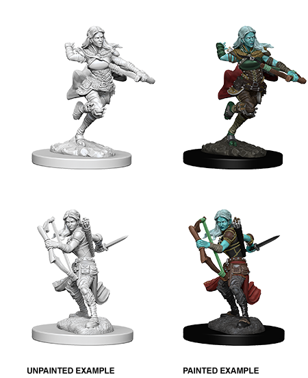 D&D: Nolzur's Marvelous Miniatures - Air Gensai Female Rogue (ONLINE ORDER ONLY)