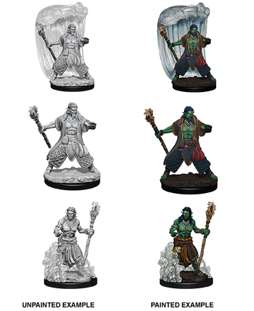 D&D: Nolzur's Marvelous Miniatures - Water Genasi Male Druid (ONLINE ORDER ONLY)