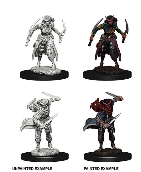 D&D: Nolzur's Marvelous Miniatures - Tiefling Female Rogue (ONLINE ORDER ONLY)
