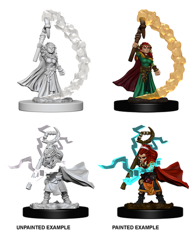 Pathfinder: Deep Cuts - Gnome Female Sorcerer (ONLINE ORDER ONLY)