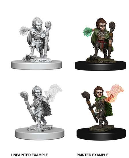 Pathfinder: Deep Cuts - Gnome Male Druid (ONLINE ORDER ONLY)
