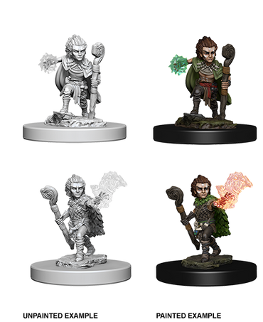 Pathfinder: Deep Cuts - Gnome Male Druid (ONLINE ORDER ONLY)