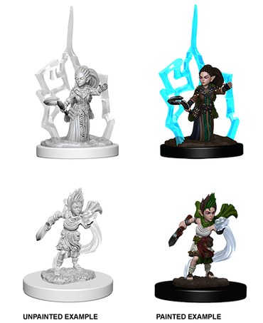 Pathfinder: Deep Cuts - Gnome Female Druid (ONLINE ORDER ONLY)