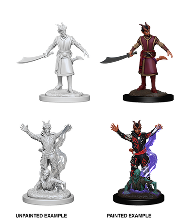 D&D: Nolzur's Marvelous Miniatures - Tiefling Male Warlock (ONLINE ORDER ONLY)
