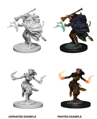D&D: Nolzur's Marvelous Miniatures - Tiefling Female Warlock (ONLINE ORDER ONLY)