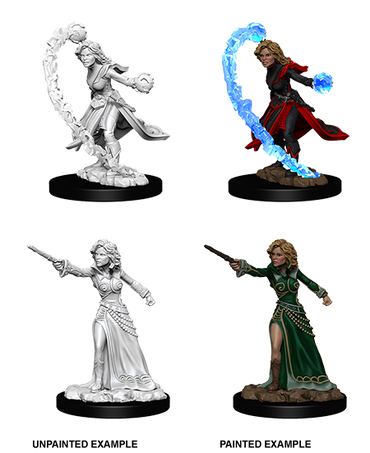 Pathfinder: Deep Cuts - Human Female Wizard (ONLINE ORDER ONLY)