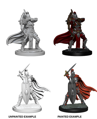 Pathfinder: Deep Cuts - Female Knights / Gray Maidens (ONLINE ORDER ONLY)