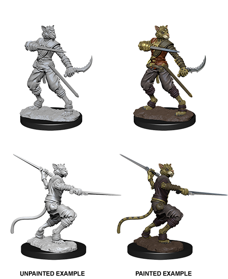 D&D: Nolzur's Marvelous Miniatures - Tabaxi Male Rogue (ONLINE ORDER ONLY)