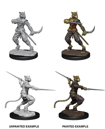 D&D: Nolzur's Marvelous Miniatures - Tabaxi Male Rogue (ONLINE ORDER ONLY)