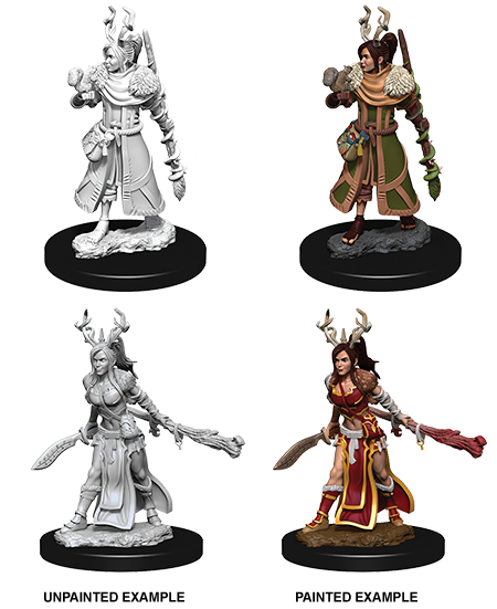 D&D: Nolzur's Marvelous Miniatures - Human Female Druid (ONLINE ORDER ONLY)
