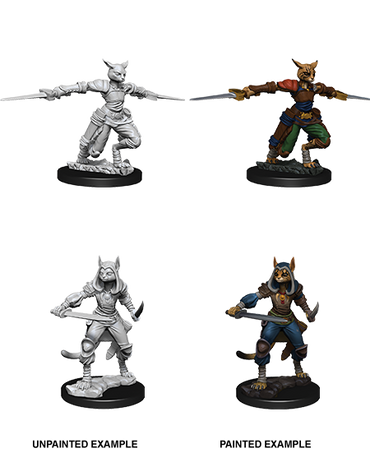 D&D: Nolzur's Marvelous Miniatures - Tabaxi Female Rogue (ONLINE ORDER ONLY)