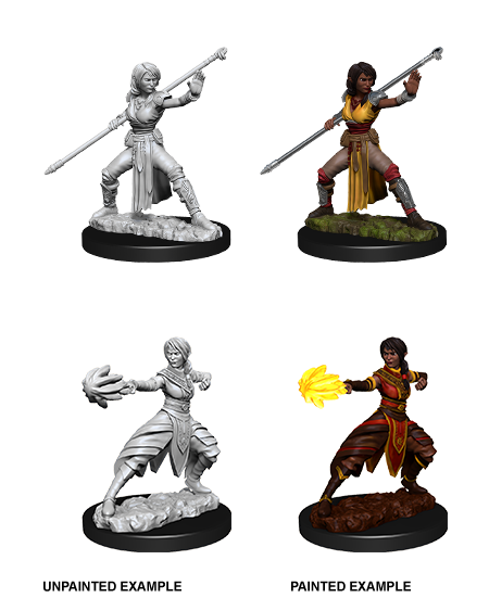 D&D: Nolzur's Marvelous Miniatures - Half-Elf Female Monk (ONLINE ORDER ONLY)