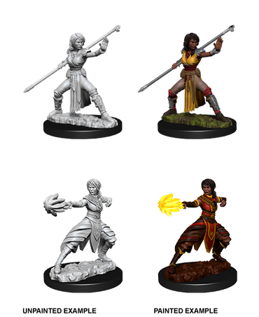 D&D: Nolzur's Marvelous Miniatures - Half-Elf Female Monk (ONLINE ORDER ONLY)
