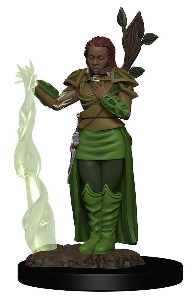 D&D: Icons of the Realms - Human Female Druid (ONLINE ORDER ONLY)