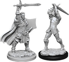 D&D: Nolzur's Marvelous Miniatures - Male Human Paladin (ONLINE ORDER ONLY)
