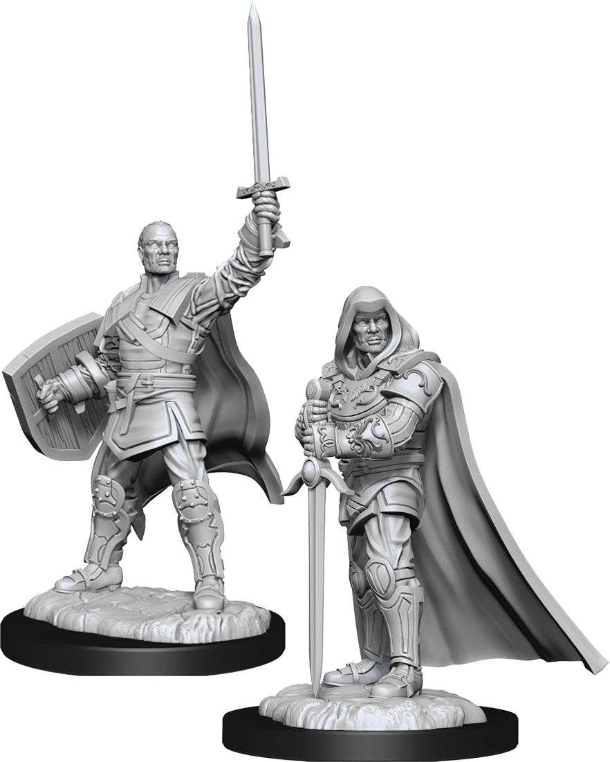 D&D: Nolzur's Marvelous Miniatures - Human Paladin Male (ONLINE ORDER ONLY)