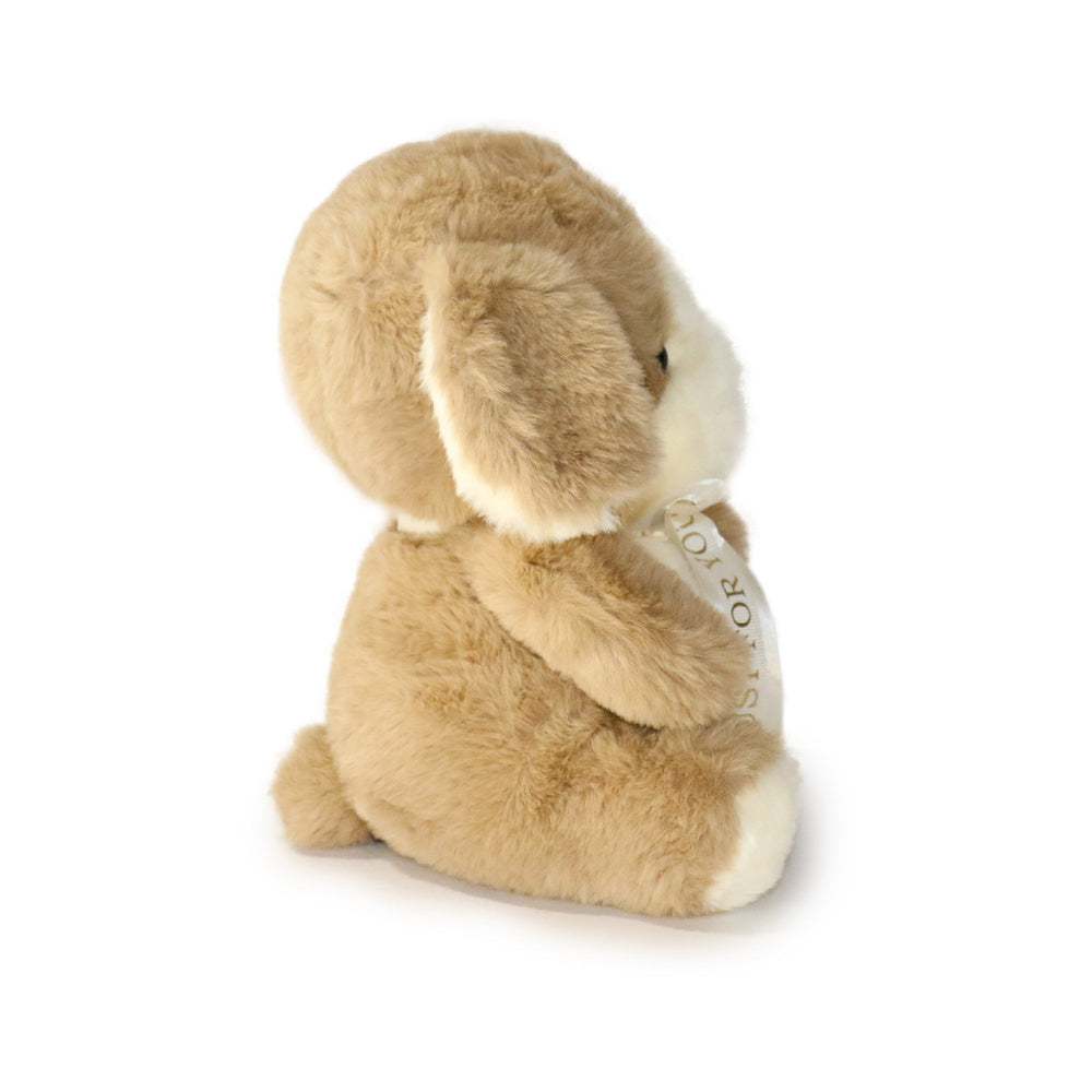 Just For You Dog: A Plush Toy Made to Make Someone Feel Special (ONLINE ORDER ONLY)