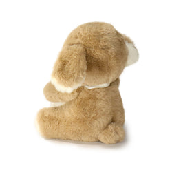 Dog (ONLINE ORDER ONLY)