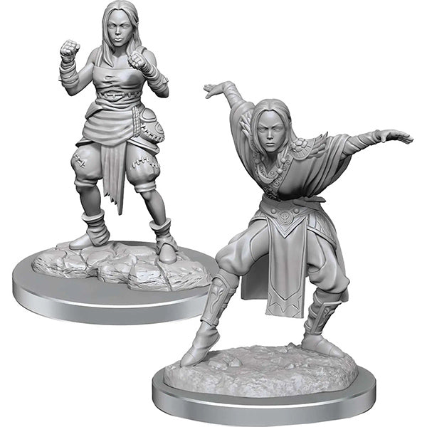 Pathfinder Battles Deep Cuts Minis: Half-Elf Monk Females Wave 21 (Online Order Only)