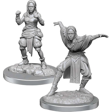 Pathfinder Battles Deep Cuts Minis: Half-Elf Monk Females Wave 21 (Online Order Only)