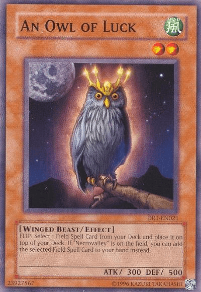 An Owl of Luck [DR1-EN021] Common (ONLINE ORDER ONLY)