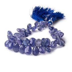 7x5-12x9mm Tanzanite Faceted Pear Beads 7.5 inch 55 pieces (ONLINE ORDER ONLY)