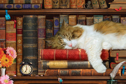 Puzzle: Cat Nap Tin (ONLINE ORDER ONLY)