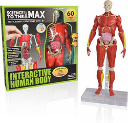 Be Amazing! Toys Interactive Human Body Fully Poseable Anatomy Figure – 14” Tall (ONLINE ORDER ONLY)