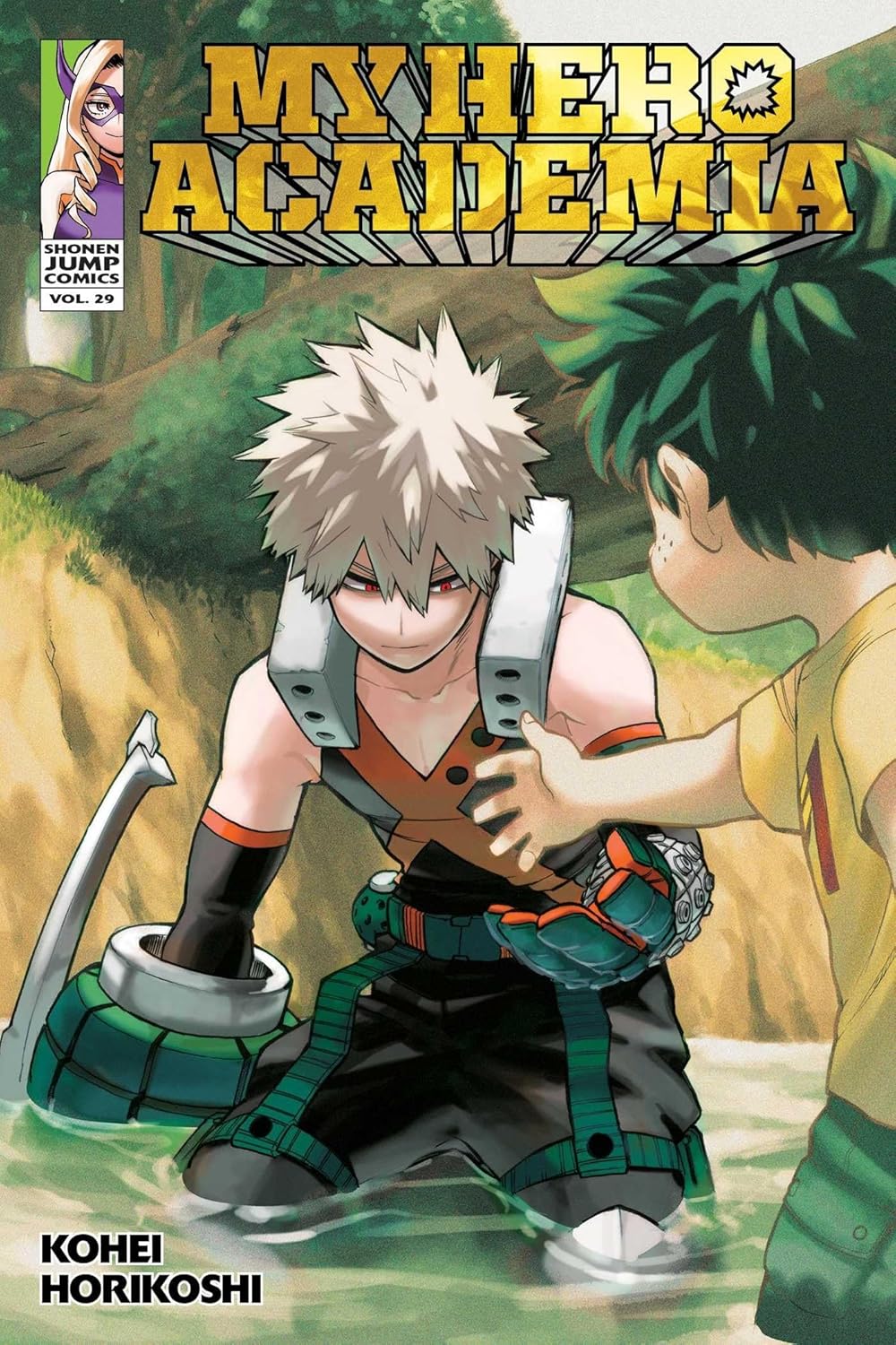 My Hero Academia VOL 29 (ONLINE ORDER ONLY)