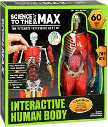 Be Amazing! Toys Interactive Human Body Fully Poseable Anatomy Figure – 14” Tall (ONLINE ORDER ONLY)