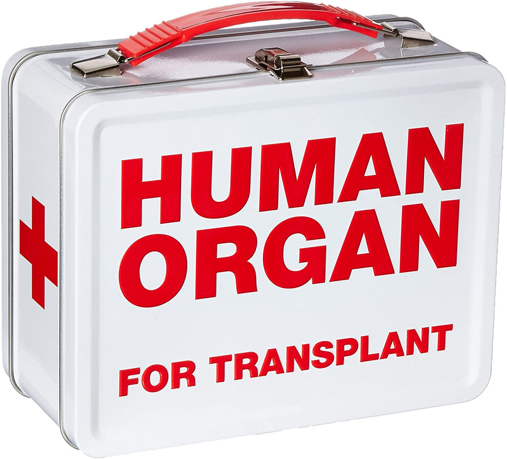 Aquarius Fun Boxes: Human Organ (ONLINE ORDER ONLY)