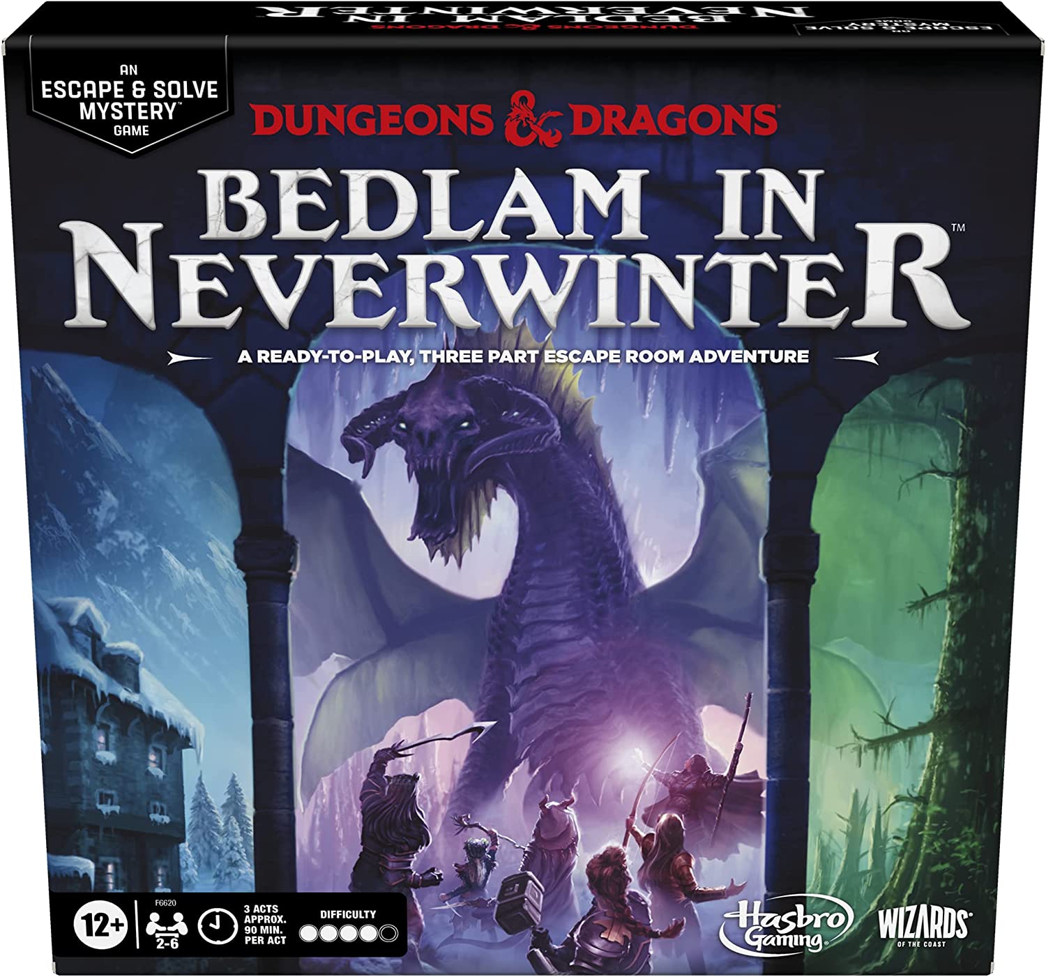 D&D: Bedlam in Neverwinter (ONLINE ORDER ONLY)
