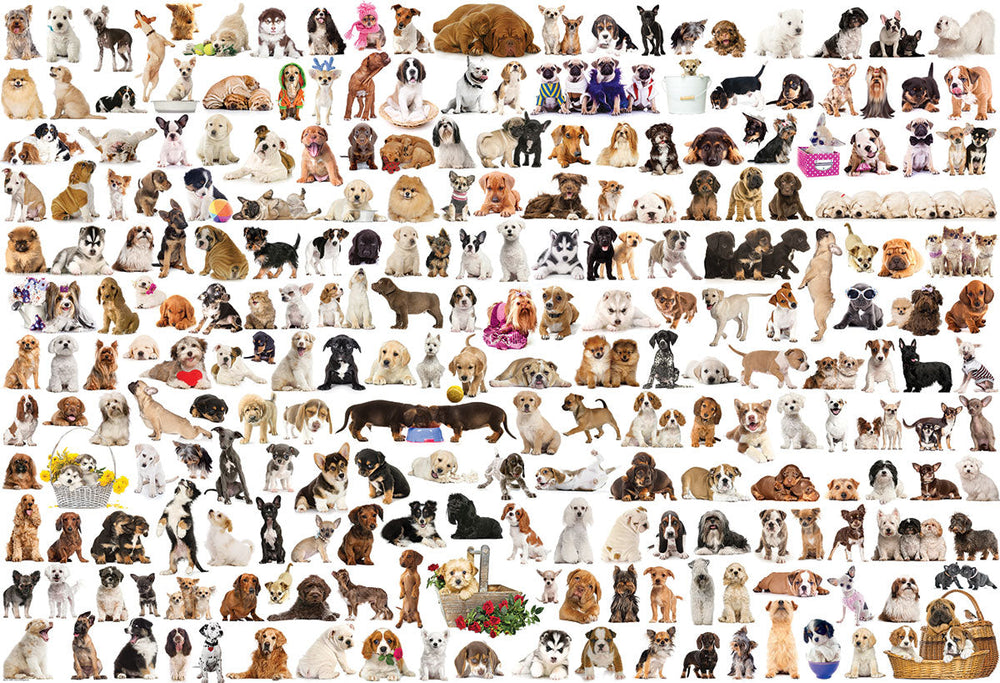 Puzzle: The BIG Puzzle Collection - The World of Dogs (ONLINE ORDER ONLY)