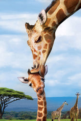 Puzzle: Save Our Planet Puzzles - Giraffes (ONLINE ORDER ONLY)