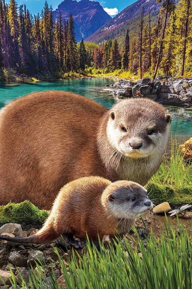 Puzzle: Save Our Planet Puzzles - Otters (ONLINE ORDER ONLY)