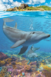 Puzzle: Save Our Planet Puzzles - Dolphins (ONLINE ORDER ONLY)